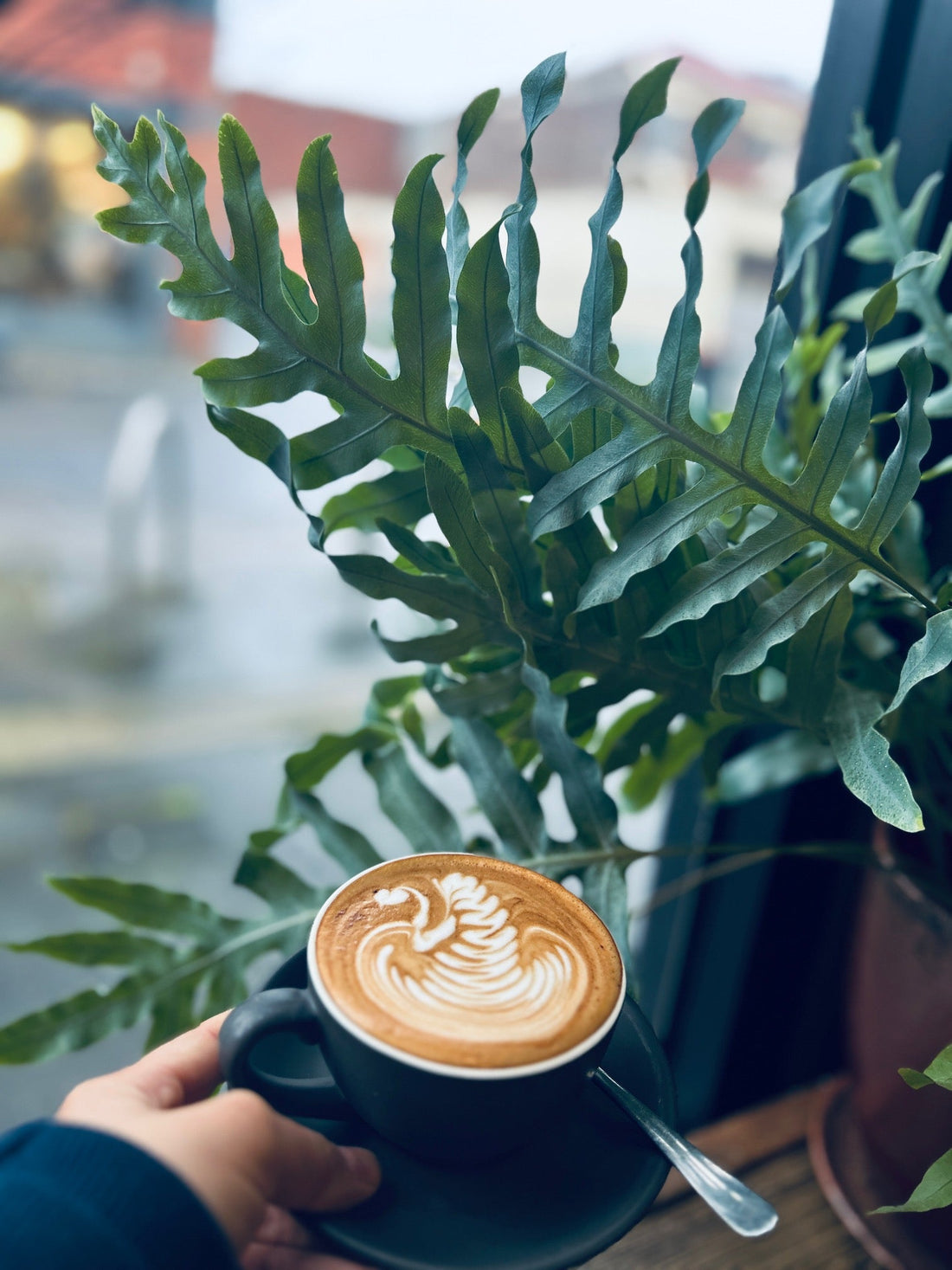 Best Cafe for Coffee in Launceston – What to Look for in Your Perfect Cup